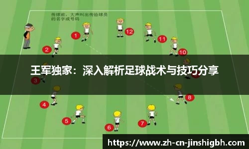 金狮贵宾会官方网站